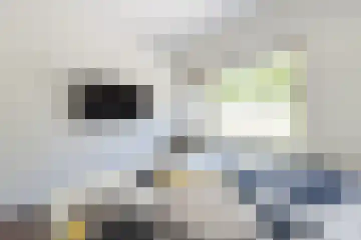 Vossiusstraat 5 Papendrecht thumbnail 23
