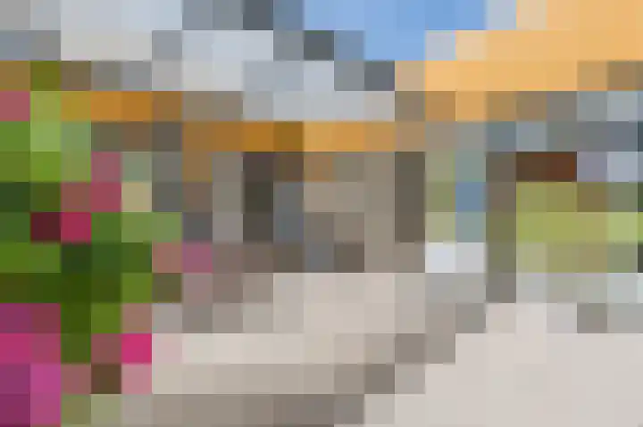 Vossiusstraat 5 Papendrecht thumbnail 27