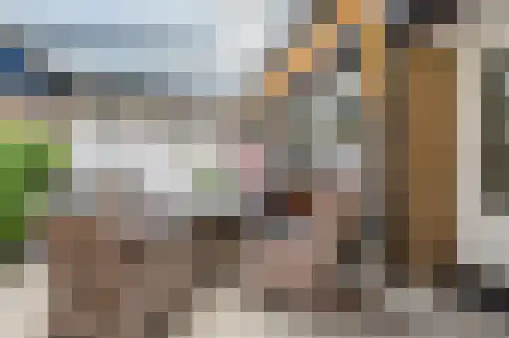 Vossiusstraat 5 Papendrecht thumbnail 29