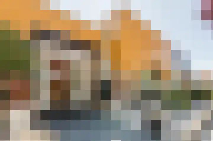 Vossiusstraat 5 Papendrecht thumbnail 34