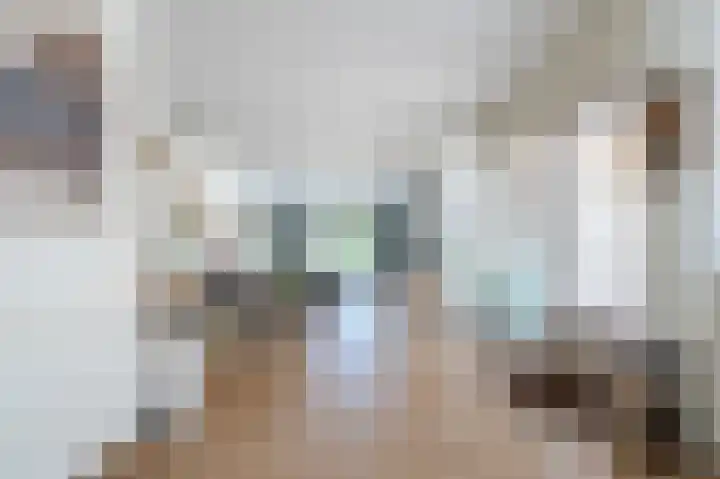Vossiusstraat 5 Papendrecht thumbnail 9