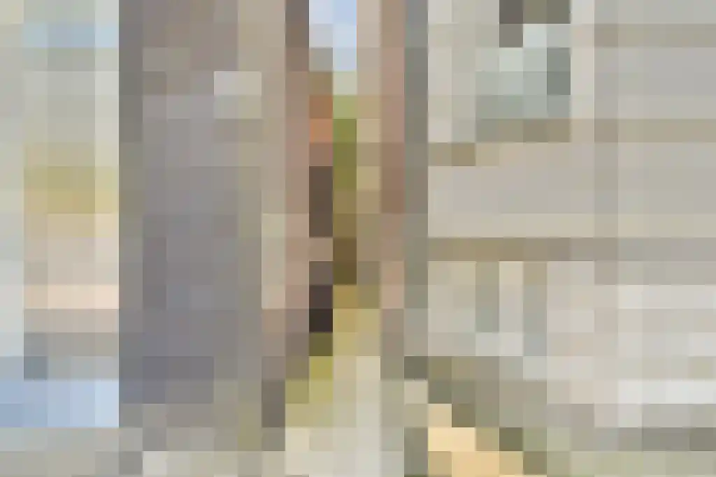 Vossiusstraat 53 T Amsterdam thumbnail 4