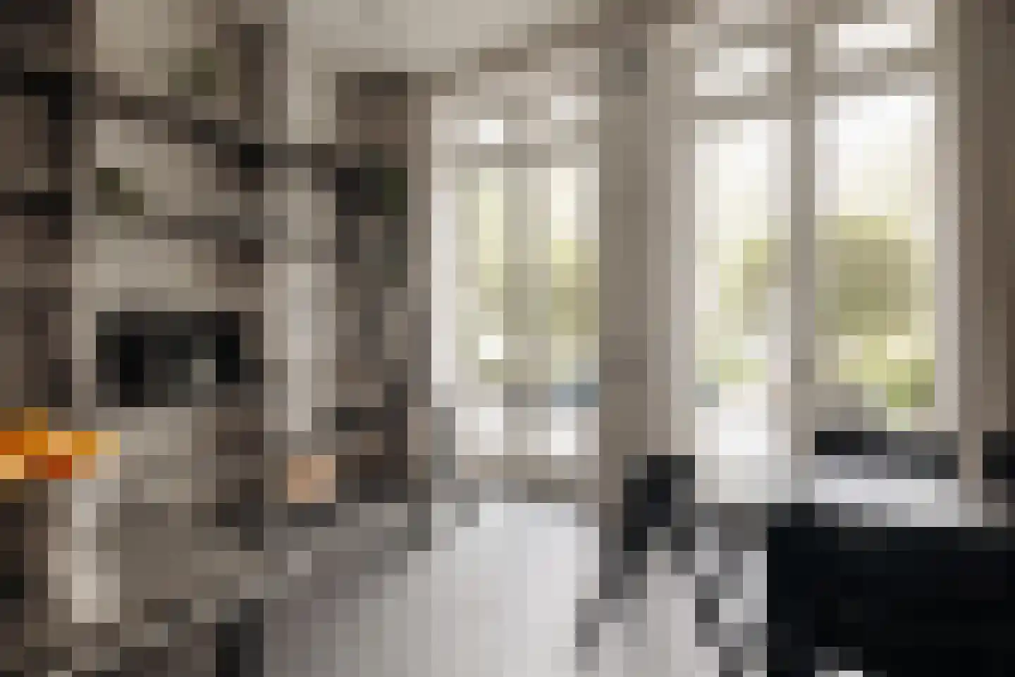 Vossiusstraat 55 Amsterdam thumbnail 10