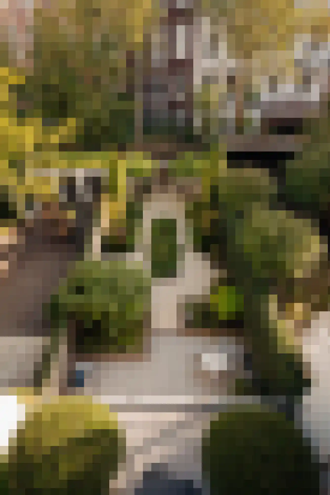 Vossiusstraat 55 Amsterdam thumbnail 13