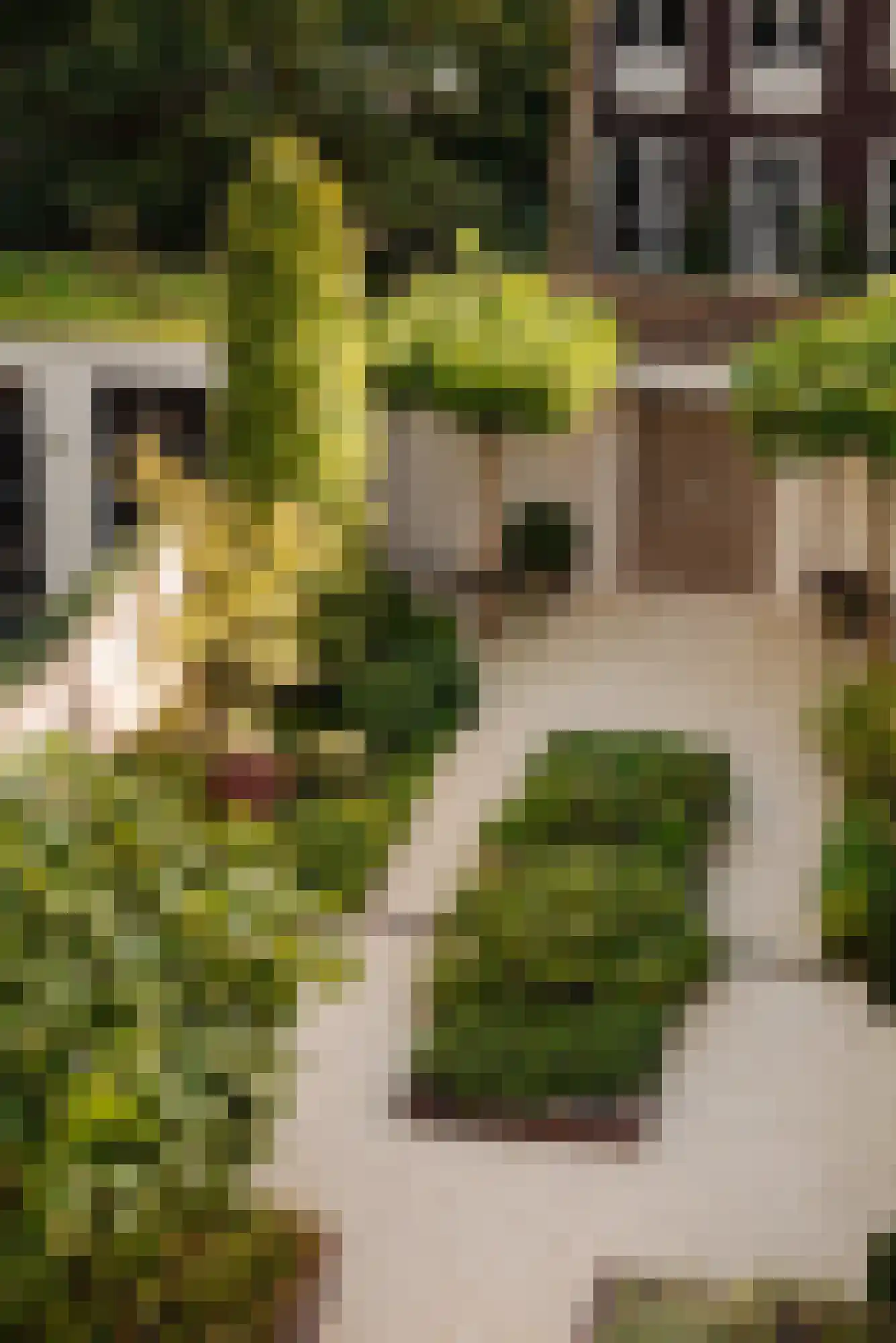 Vossiusstraat 55 Amsterdam thumbnail 14