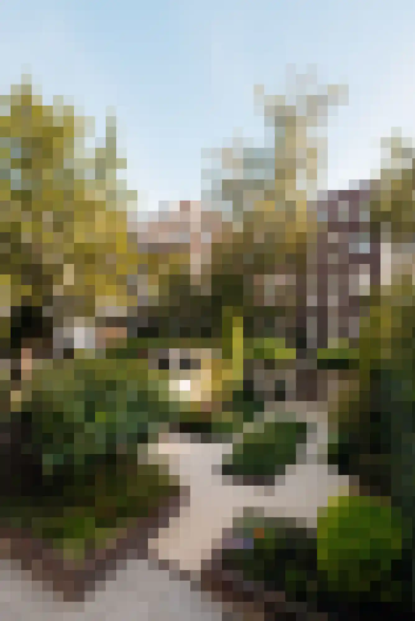 Vossiusstraat 55 Amsterdam thumbnail 15