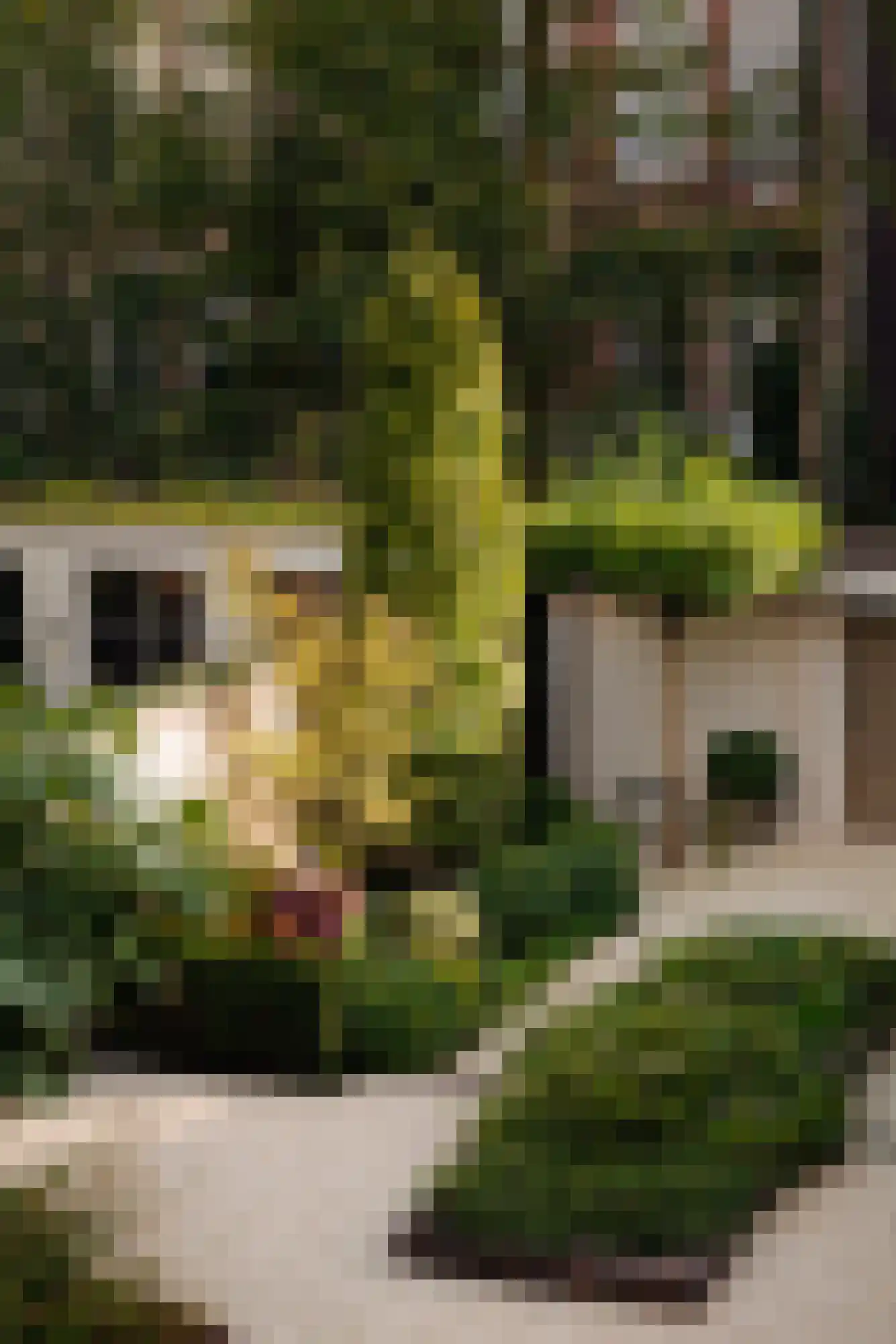 Vossiusstraat 55 Amsterdam thumbnail 16
