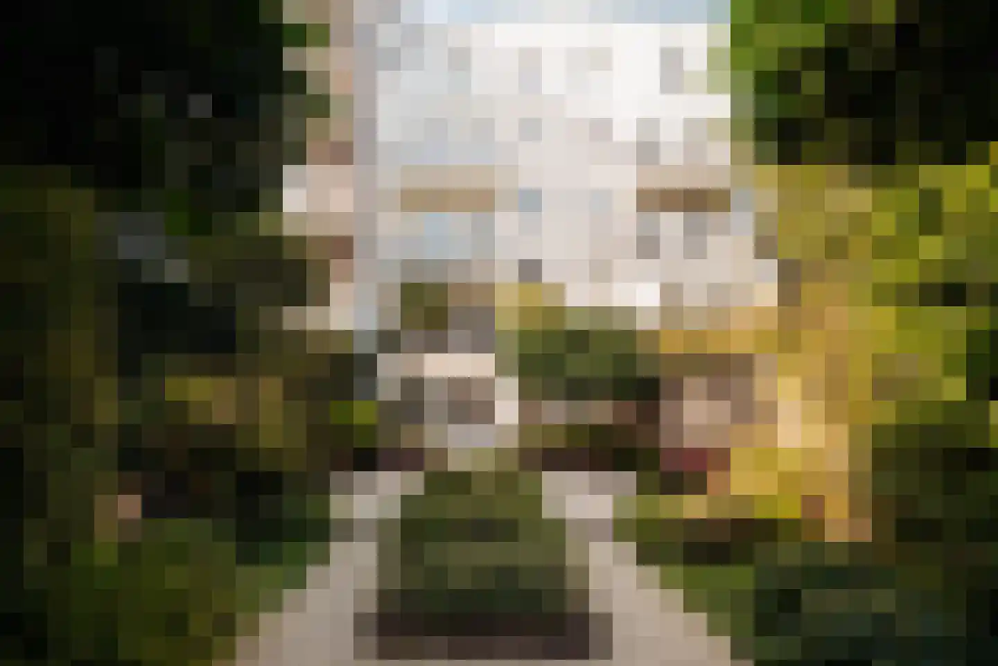 Vossiusstraat 55 Amsterdam thumbnail 18