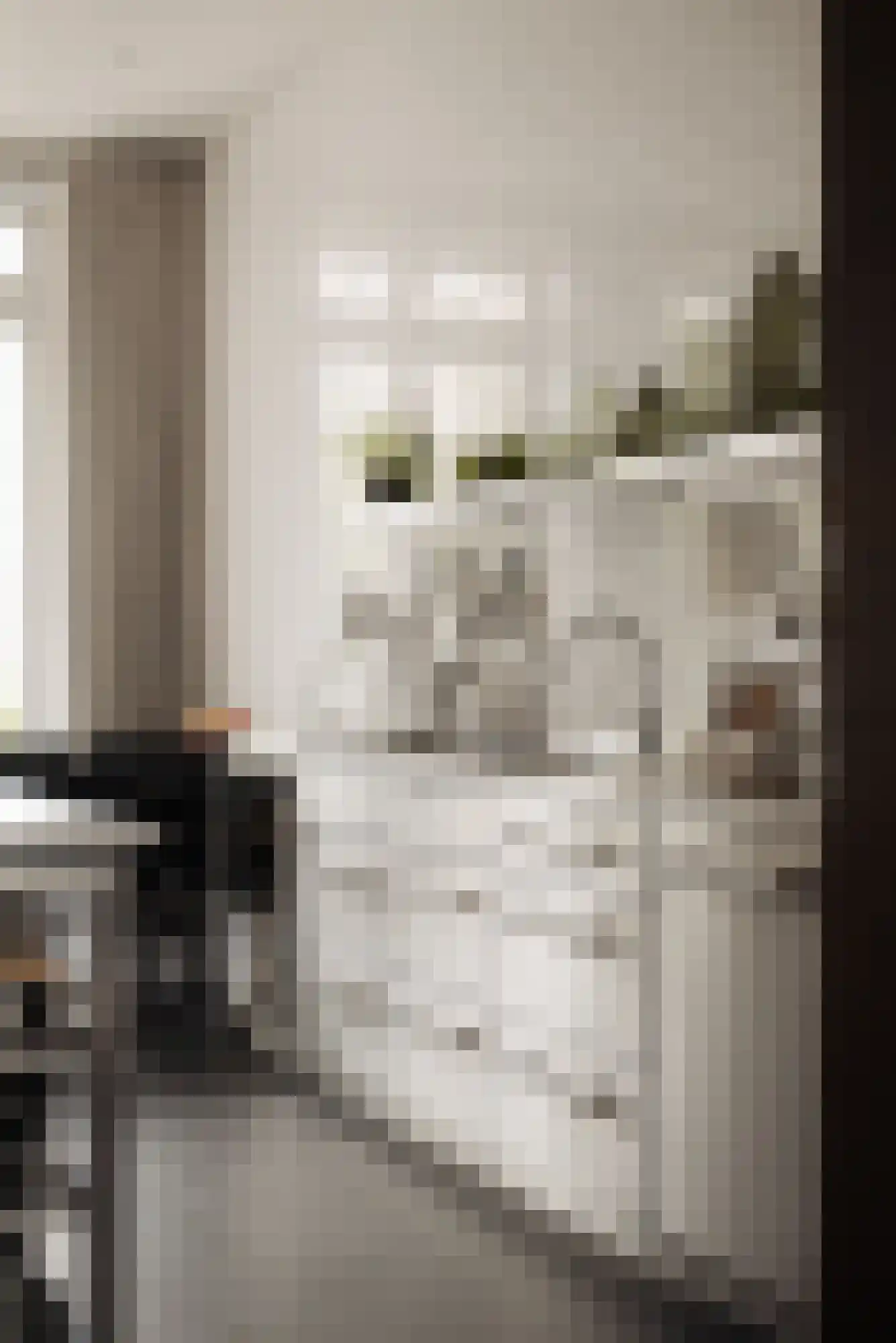 Vossiusstraat 55 Amsterdam thumbnail 22