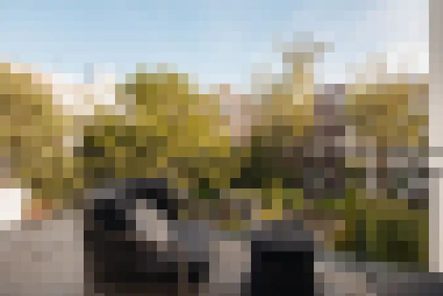 Vossiusstraat 55 Amsterdam thumbnail 31