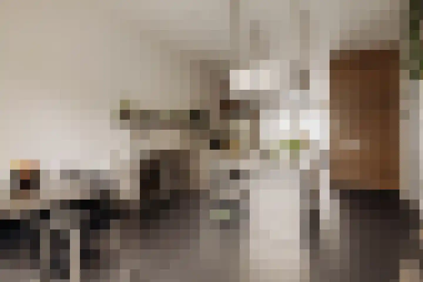 Vossiusstraat 55 Amsterdam thumbnail 4