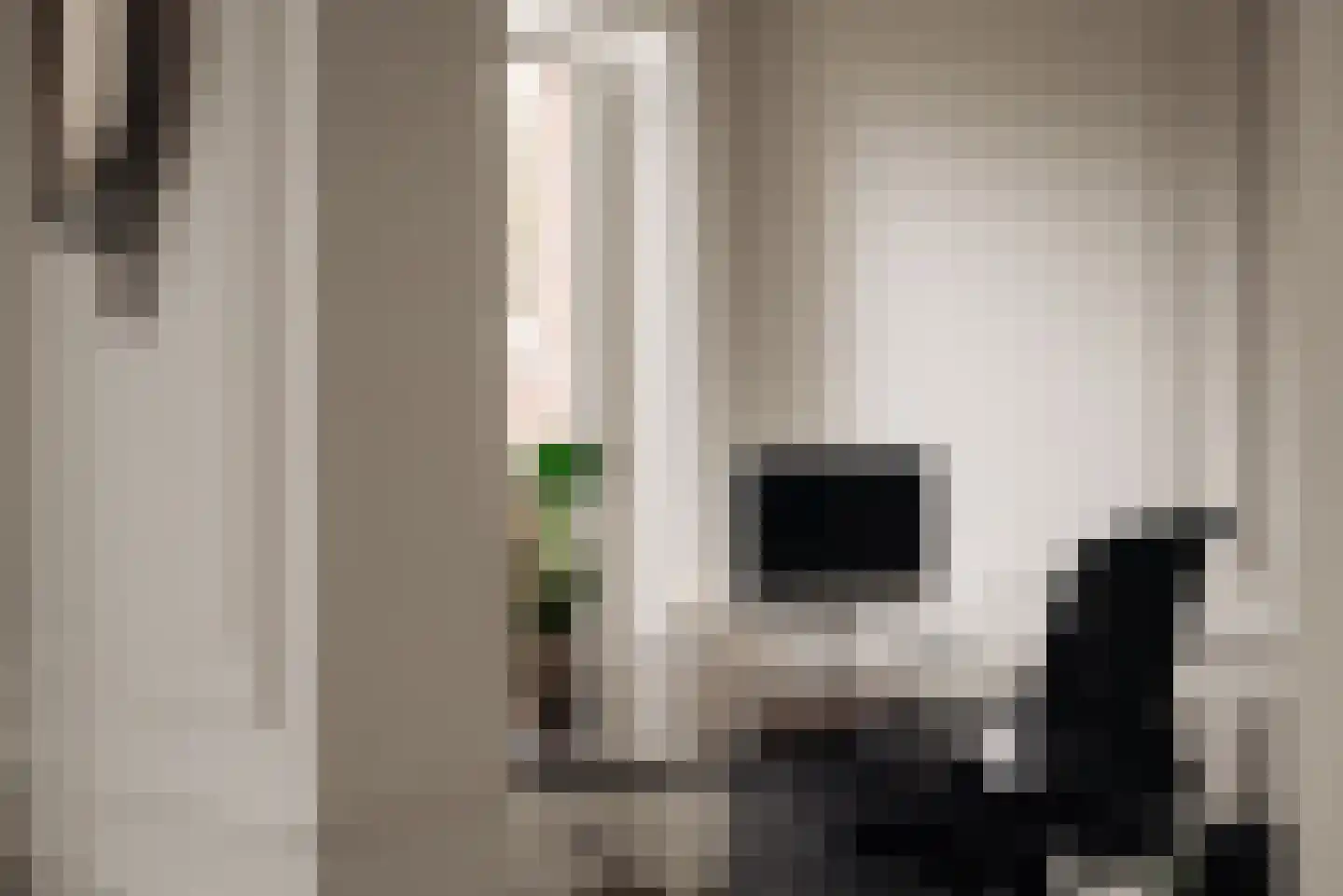 Vossiusstraat 55 Amsterdam thumbnail 46