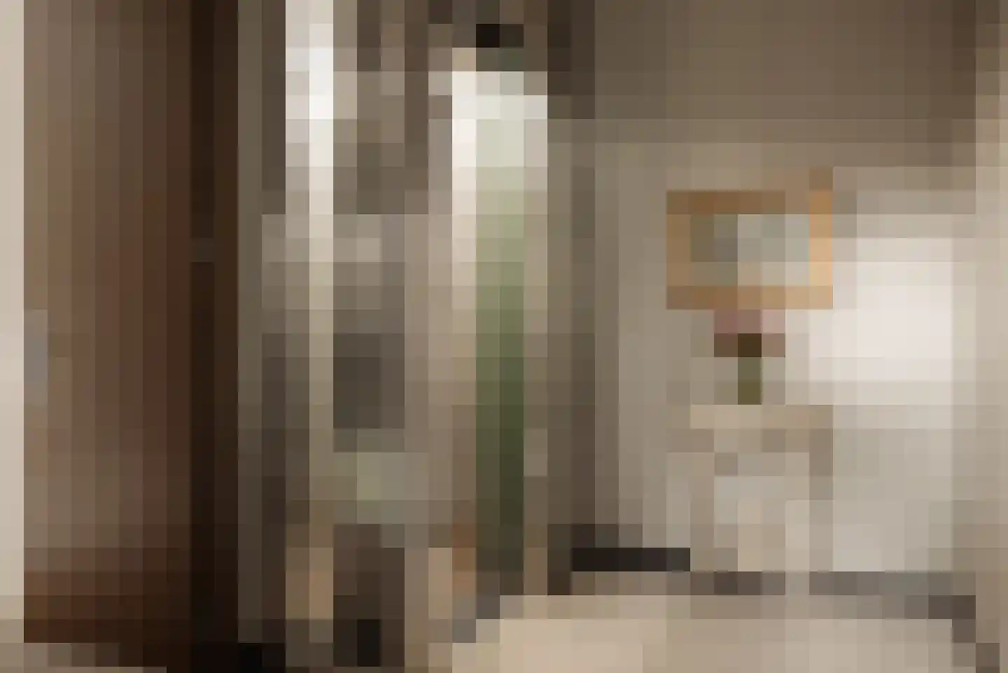 Vossiusstraat 55 Amsterdam thumbnail 50