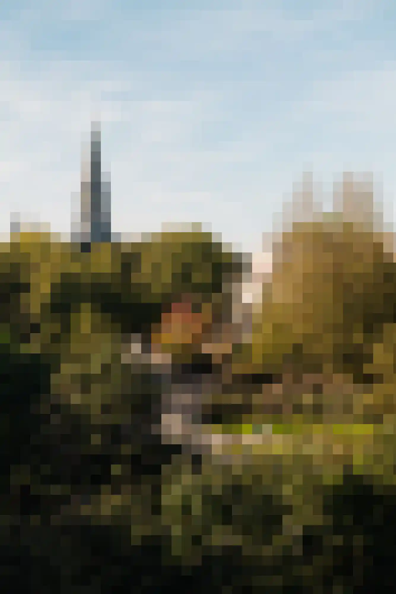 Vossiusstraat 55 Amsterdam thumbnail 55