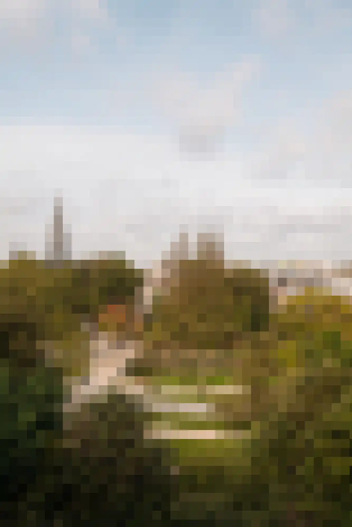 Vossiusstraat 55 Amsterdam thumbnail 56