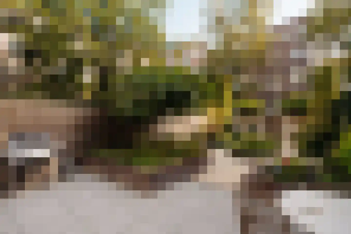 Vossiusstraat 55 Amsterdam thumbnail 6