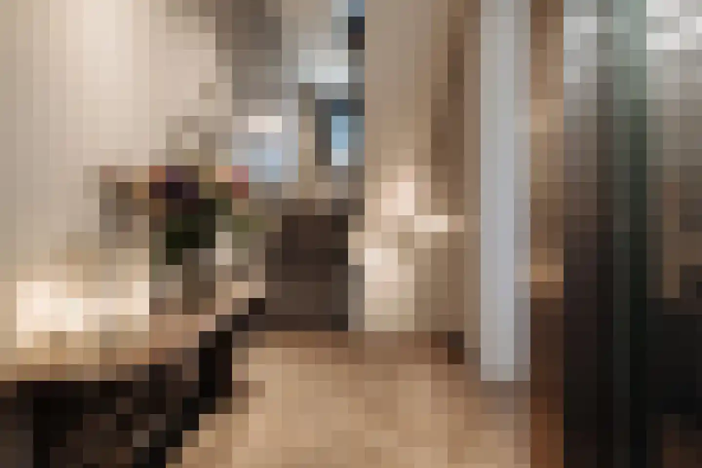 Vossiusstraat 55 Amsterdam thumbnail 8