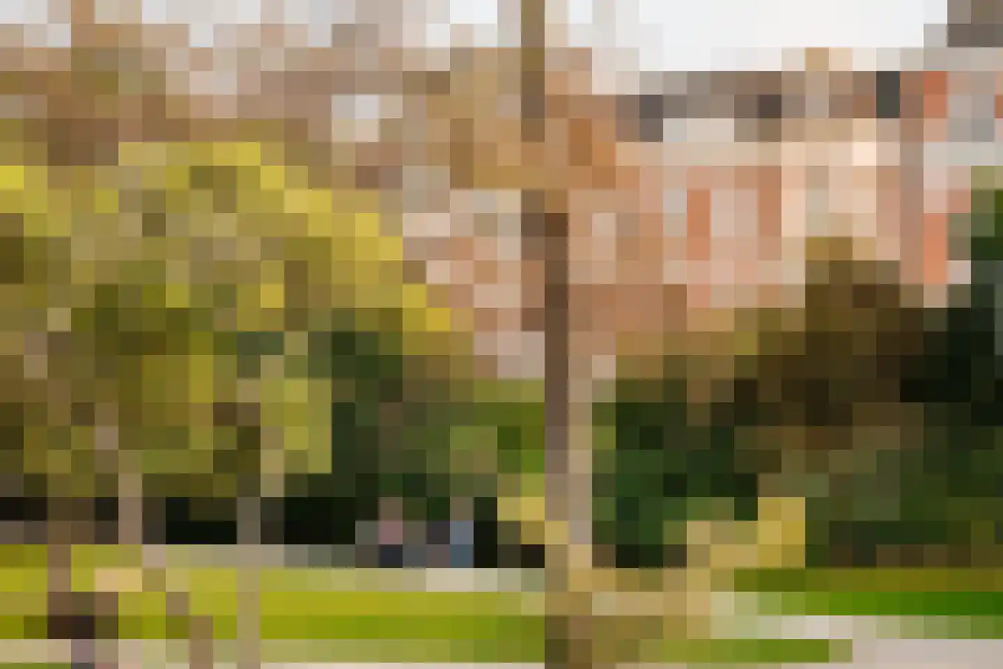 Vossiusstraat 59 Amsterdam thumbnail 38