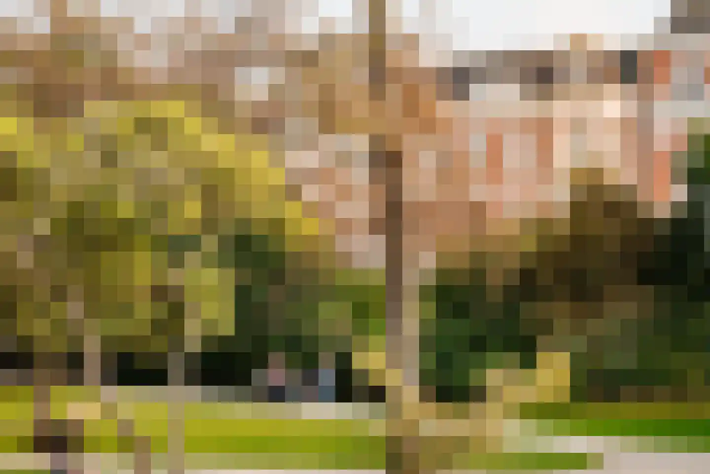 Vossiusstraat 59 Amsterdam thumbnail 39