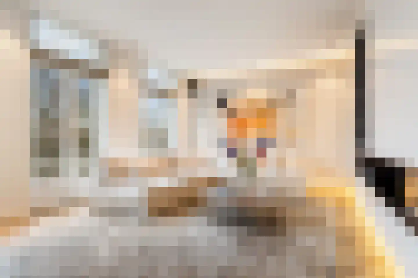 Vossiusstraat 6 C Amsterdam thumbnail 10
