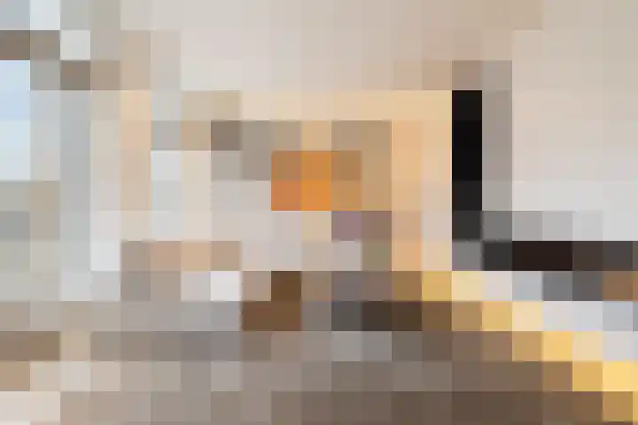 Vossiusstraat 6 C Amsterdam thumbnail 15