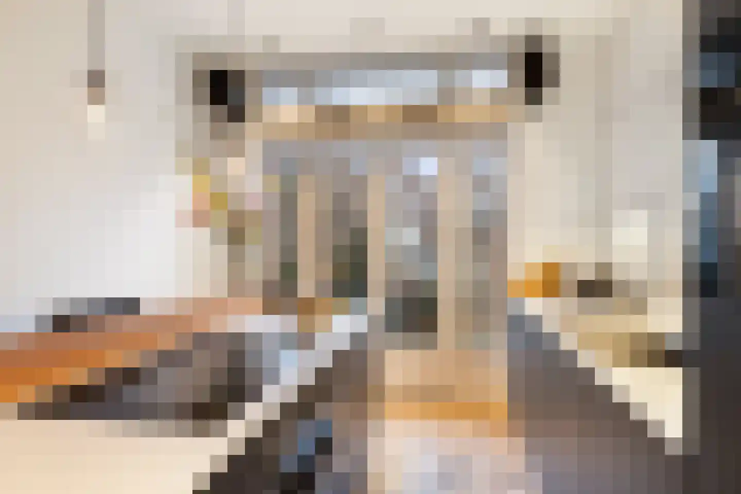 Vossiusstraat 6 C Amsterdam thumbnail 31