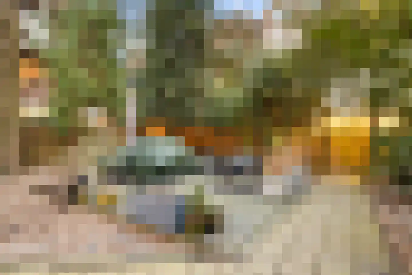 Vossiusstraat 6 C Amsterdam thumbnail 49