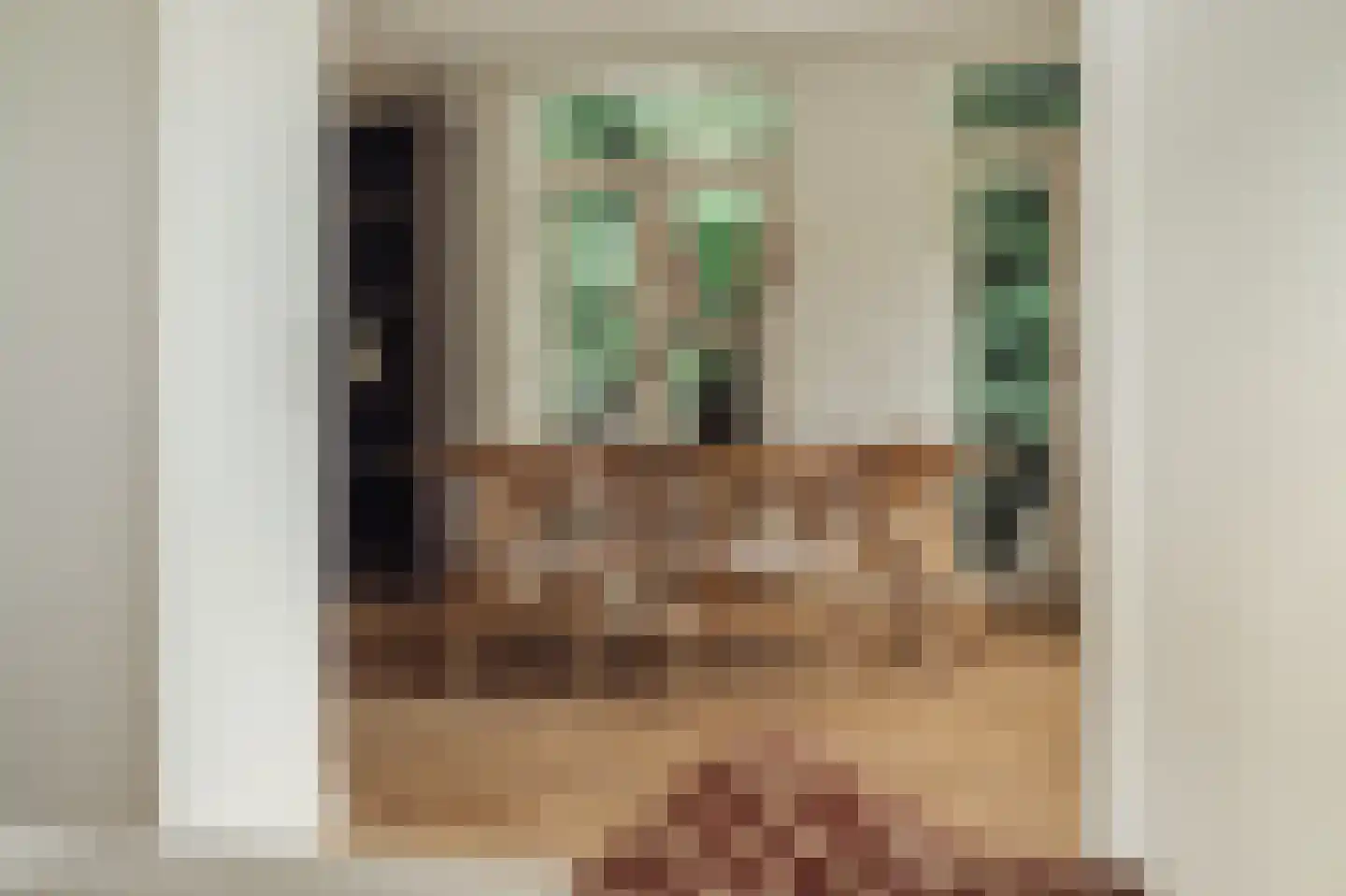 Vossiusstraat 76 Amsterdam thumbnail 7