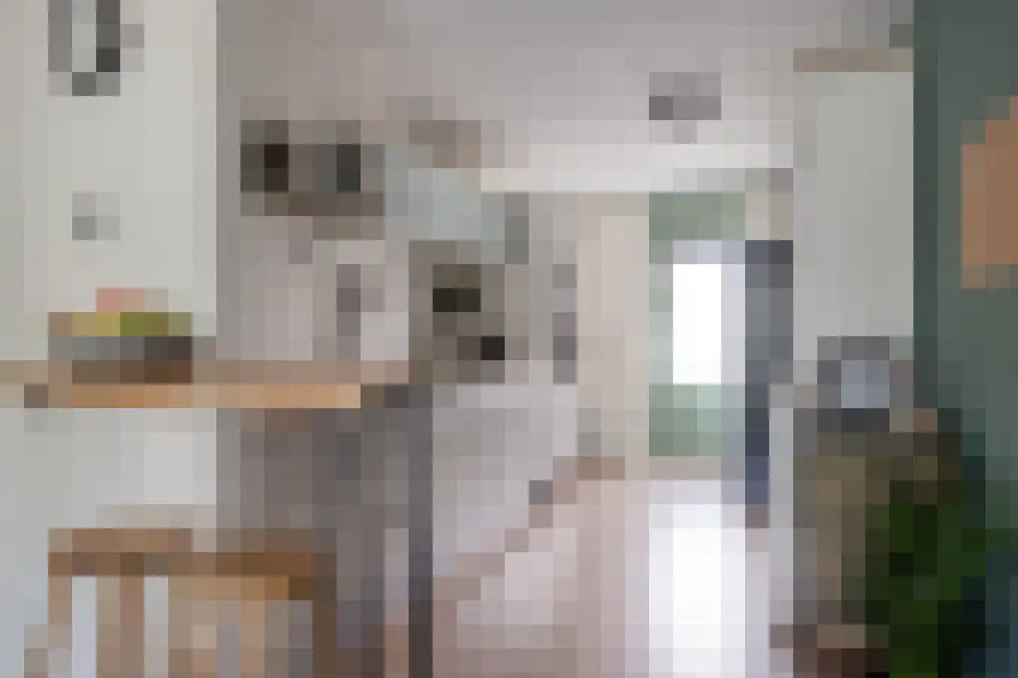 Vosweide 25 Apeldoorn thumbnail 11