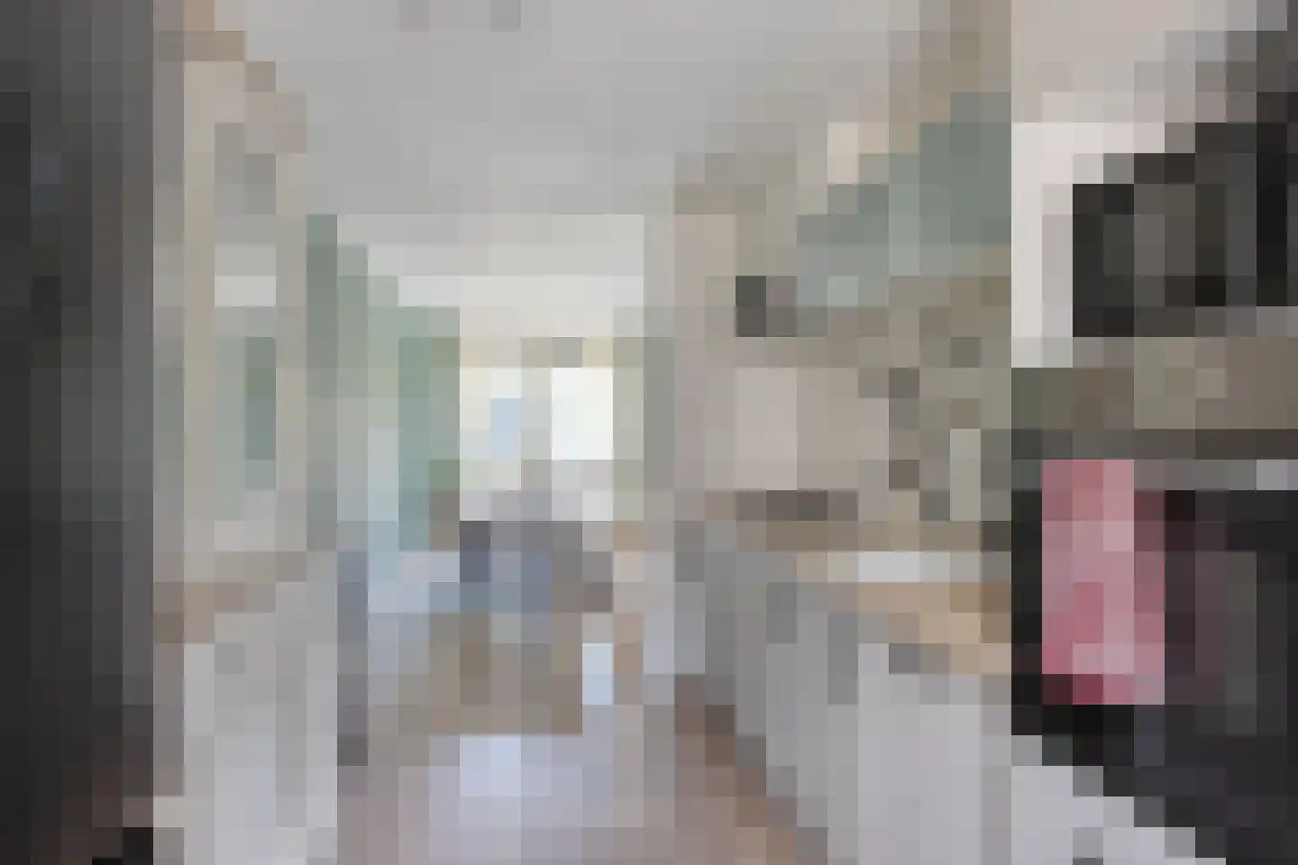 Vosweide 25 Apeldoorn thumbnail 13