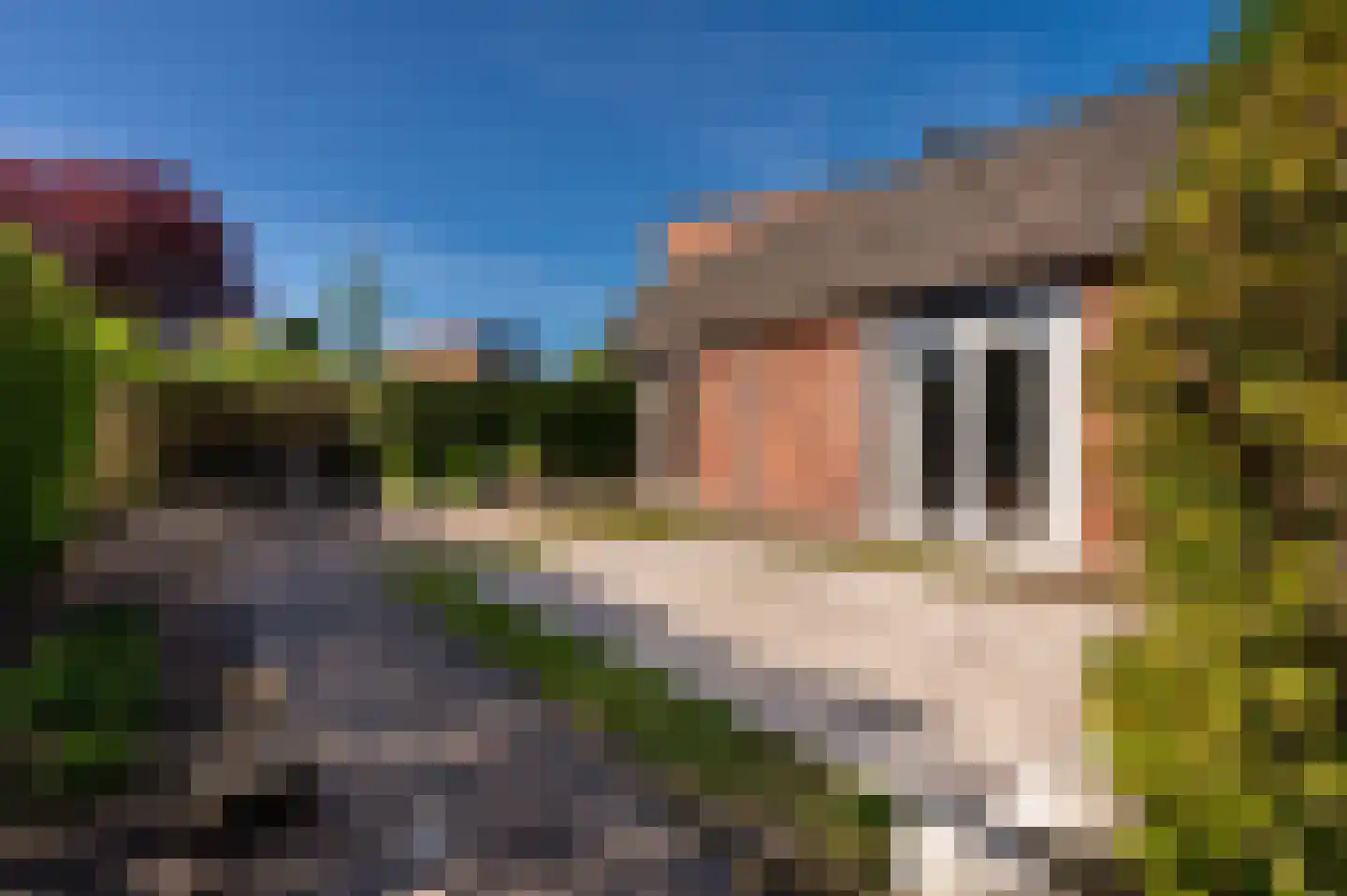 Vosweide 27 Apeldoorn thumbnail 19