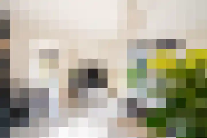 Vosweide 29 Apeldoorn thumbnail 19