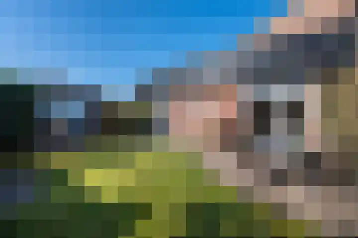Vosweide 29 Apeldoorn thumbnail 24