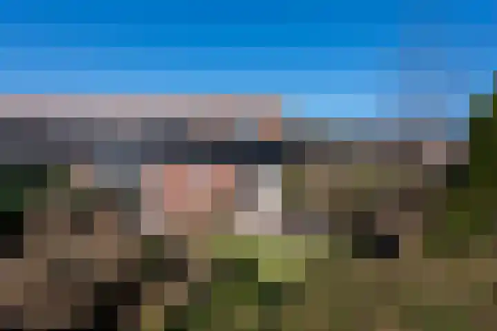 Vosweide 29 Apeldoorn thumbnail 26