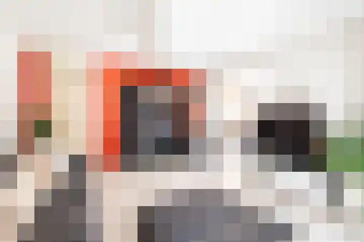 Vosweide 29 Apeldoorn thumbnail 9