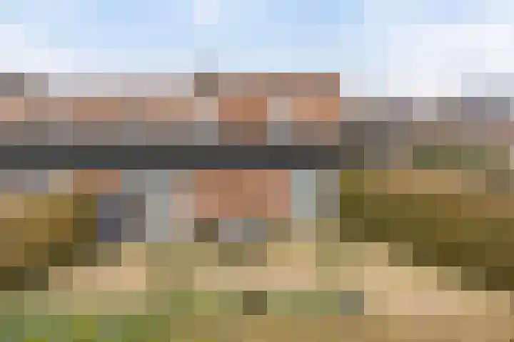 Vosweide 45 Apeldoorn thumbnail 22