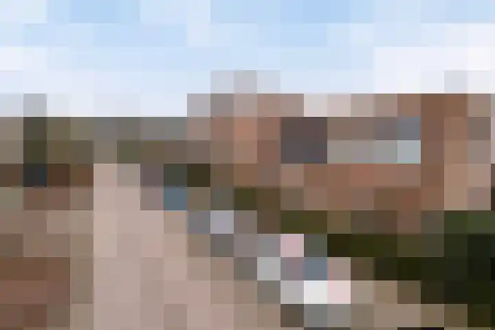 Vosweide 45 Apeldoorn thumbnail 30