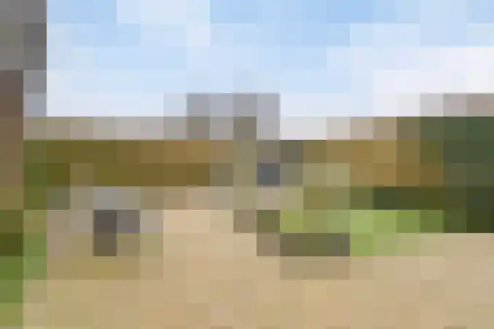 Vosweide 45 Apeldoorn thumbnail 4