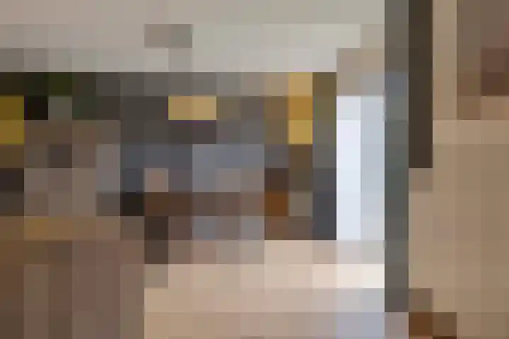Vosweide 45 Apeldoorn thumbnail 7