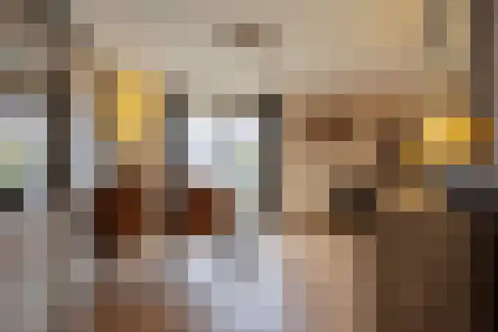 Vosweide 45 Apeldoorn thumbnail 8