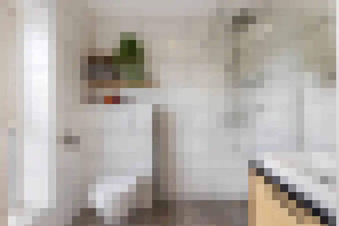 Vosweide 47 Apeldoorn thumbnail 19