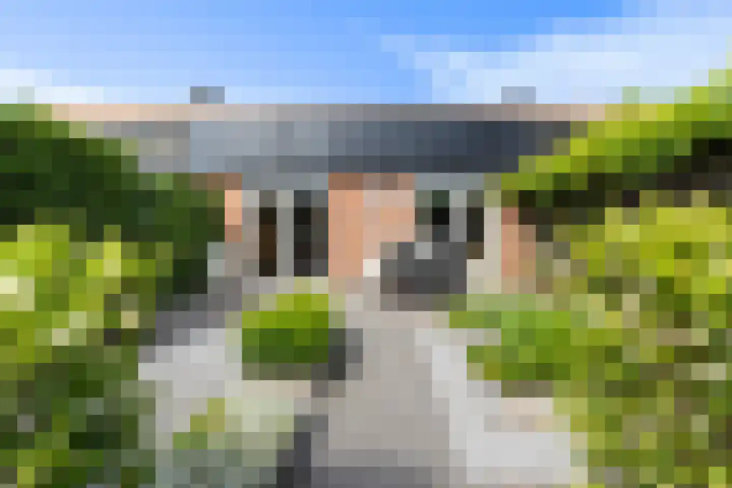 Vosweide 47 Apeldoorn thumbnail 23