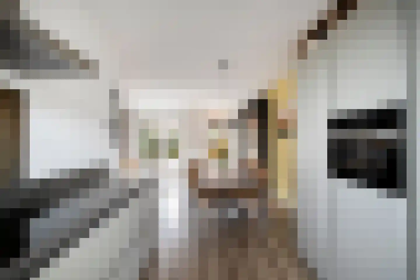 Vosweide 48 Apeldoorn thumbnail 13