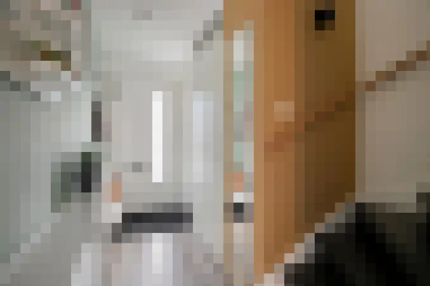 Vosweide 48 Apeldoorn thumbnail 20
