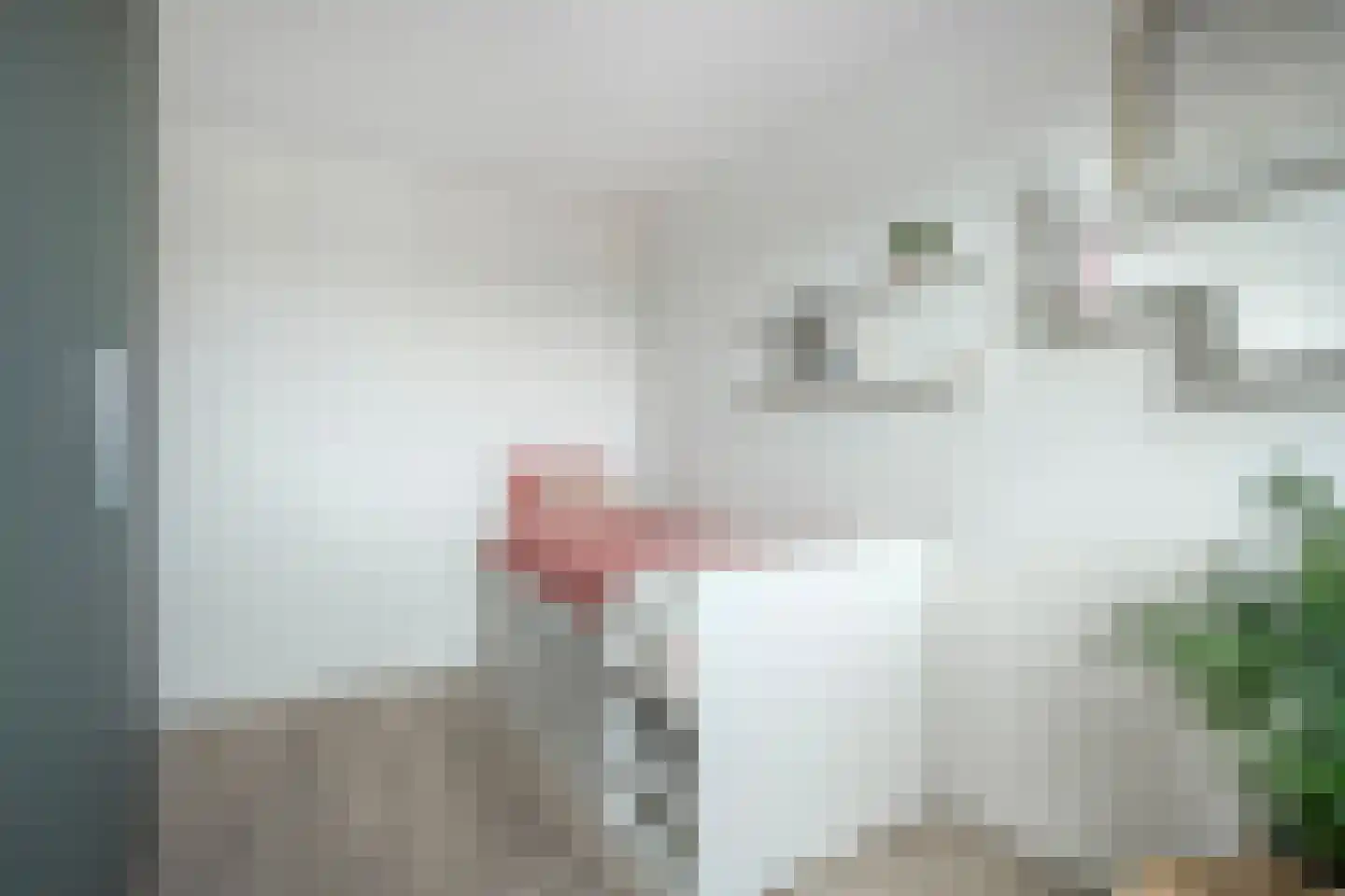 Vosweide 48 Apeldoorn thumbnail 31