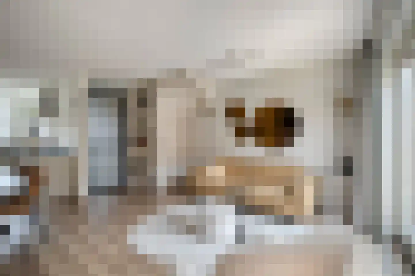 Vosweide 48 Apeldoorn thumbnail 4