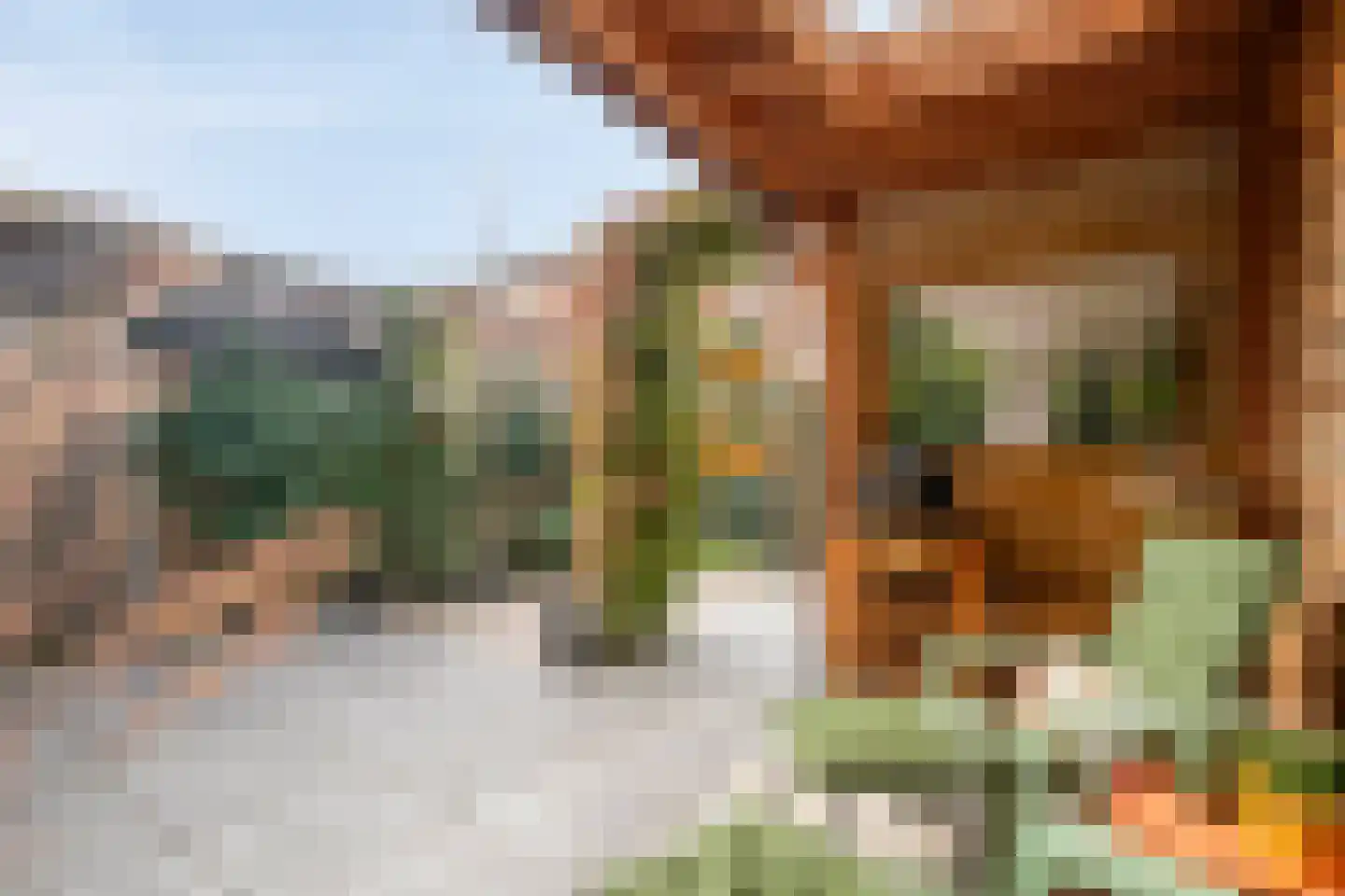 Vosweide 48 Apeldoorn thumbnail 45