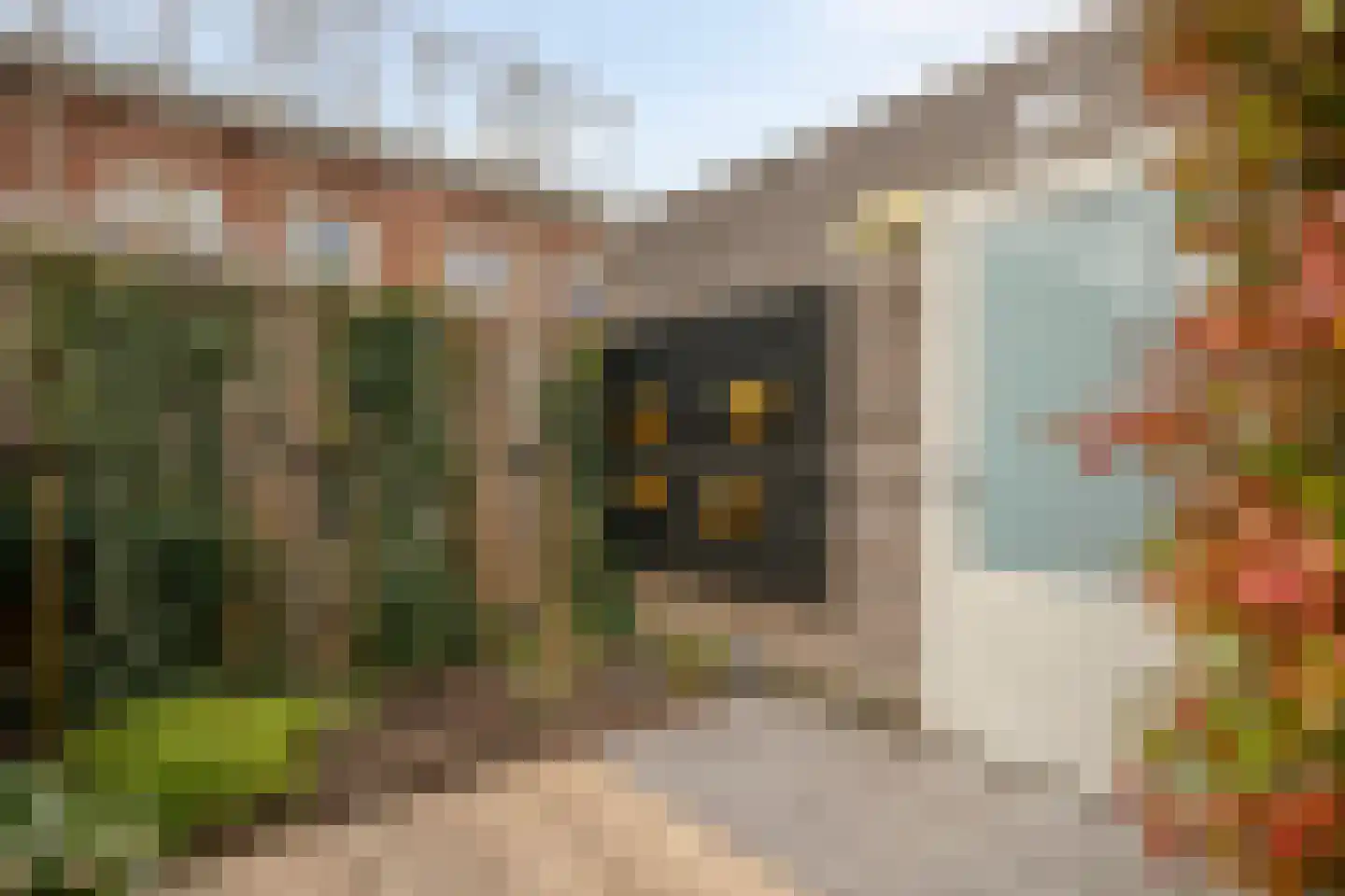 Vosweide 48 Apeldoorn thumbnail 46