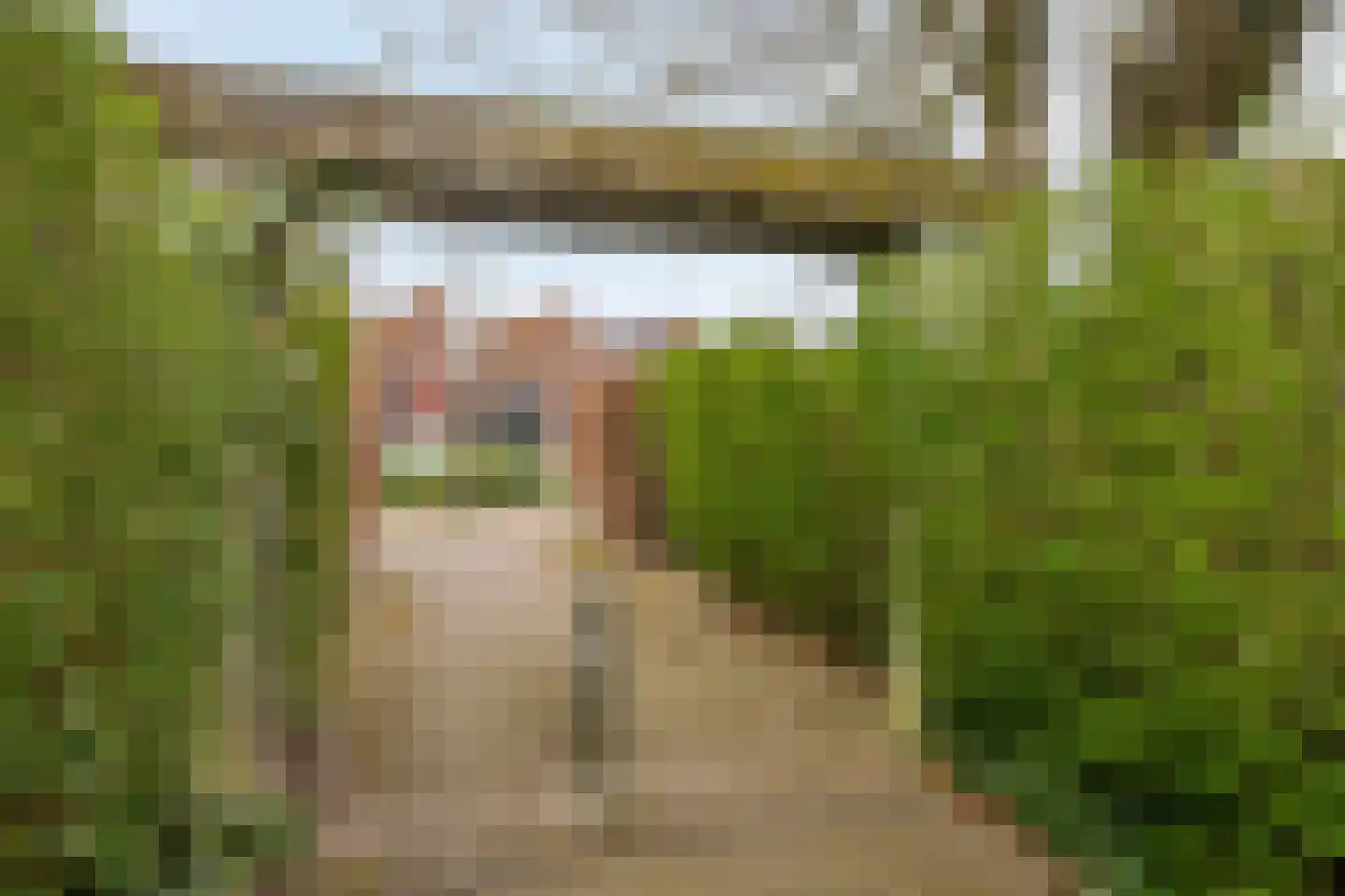 Vosweide 48 Apeldoorn thumbnail 54