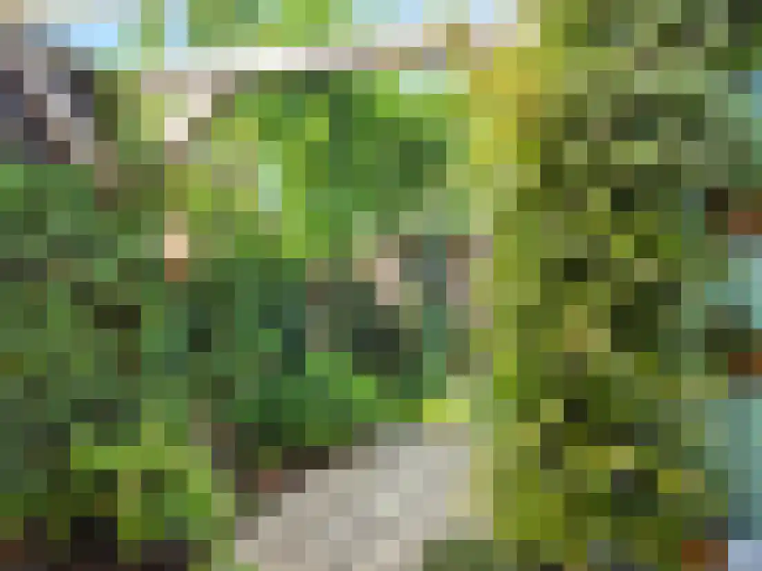 Vosweide 48 Apeldoorn thumbnail 56